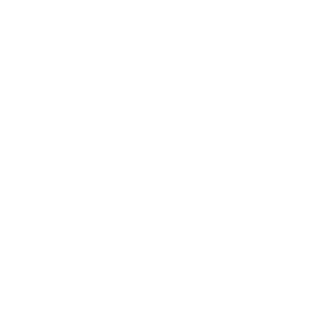 AR-white-transparent